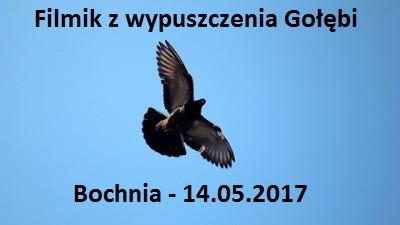 Filmik Bochnia 14.05.2017
